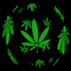 weedspin.gif